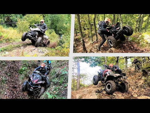 The Champion - Bistrian Cosmin Skills❌ Hunt The Wolf❗️❗️