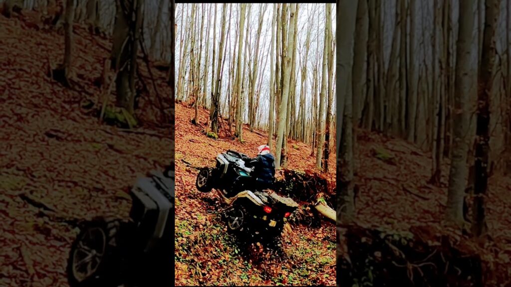 Crazzy CfMoto Cforce 850