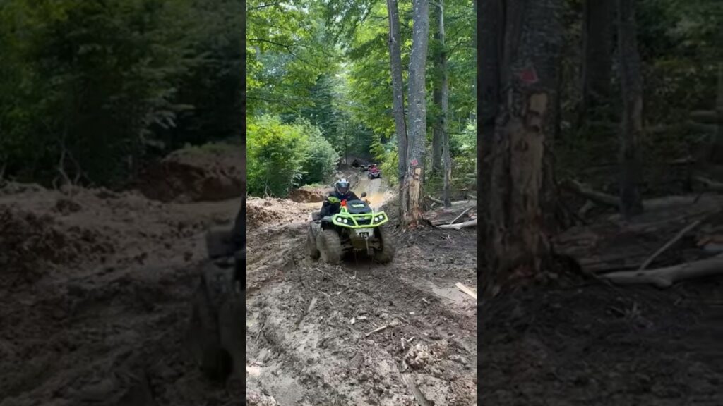 Mud Forest adventure