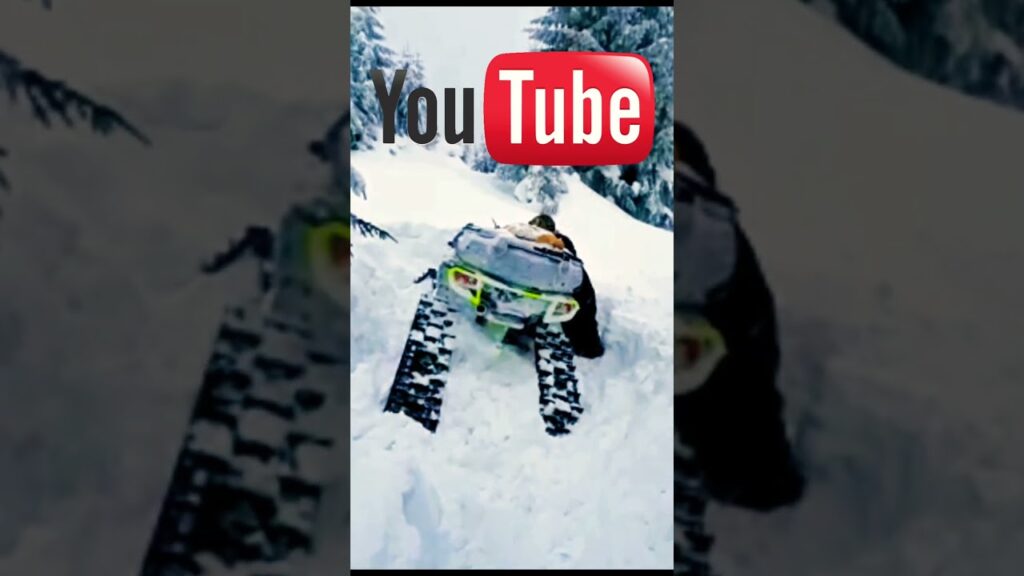 Fail ... Deep Snow Tracks...